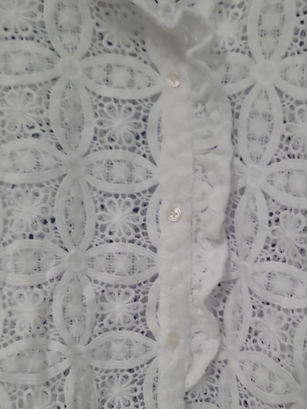 Ann Taylor Ruffle Collar Lace Blouse - Picture 7 of 14
